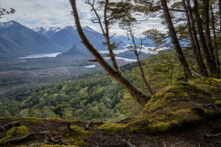 circle track viewpoint