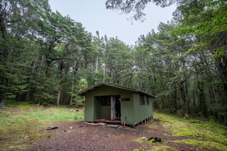 a small green building in the woods